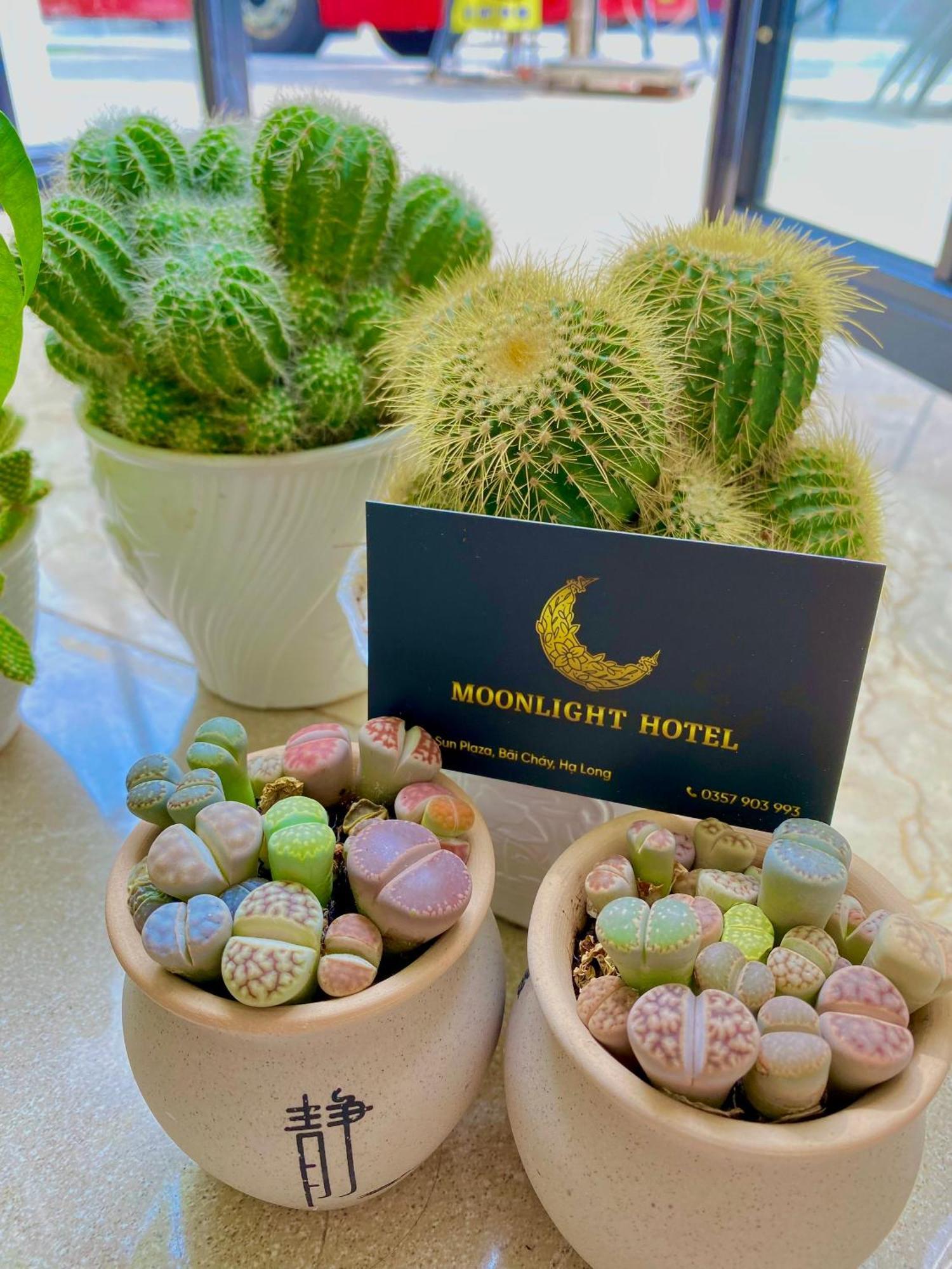 Moonlight Hotel Hạ Long-öböl Kültér fotó
